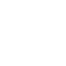 ms